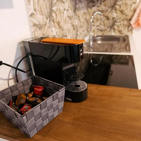 לינה וארוחת בוקר La Fenice בולוניה